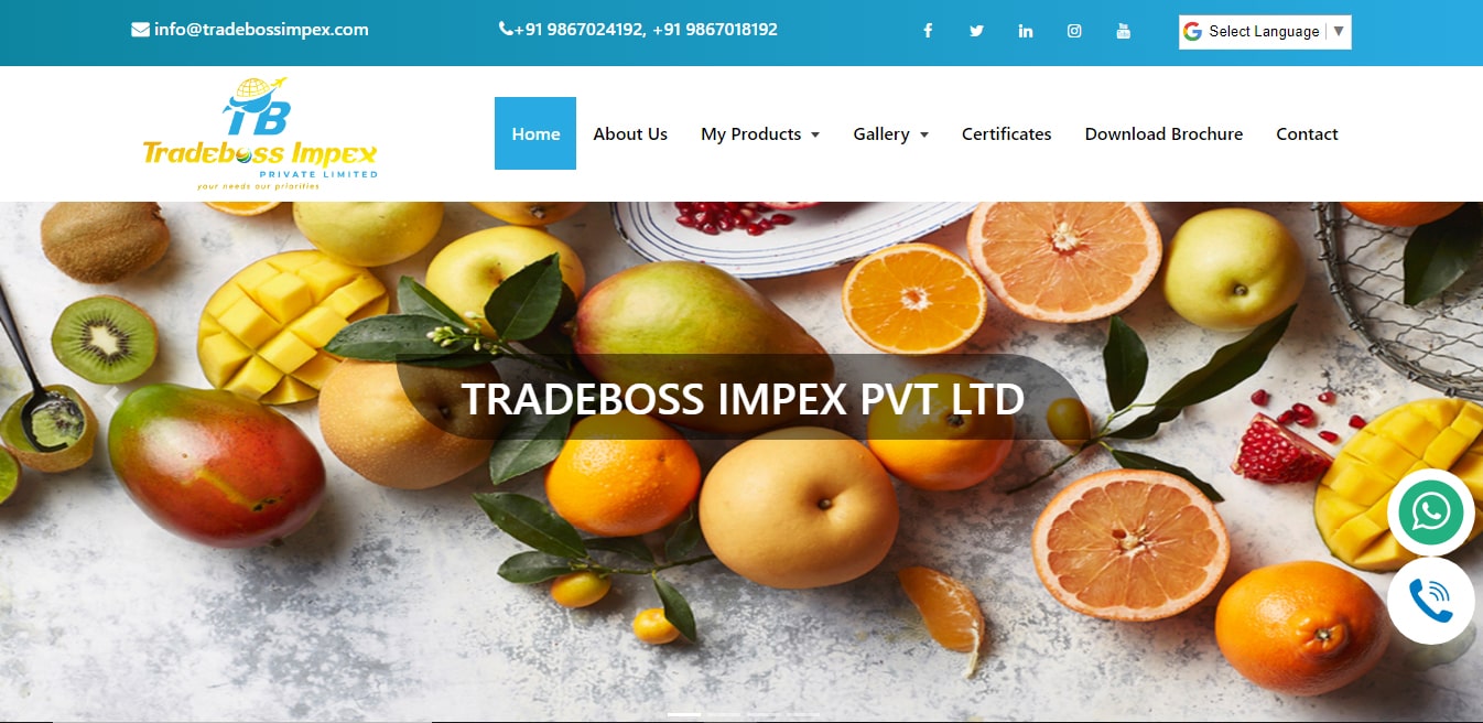 tradebossimpex